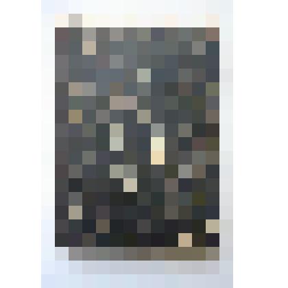 Брошюра. Полный сборник правил приема и программ высших, средних и низших, общеобразовательных, специальных и профессиональных учебных заведений России, мужских и женских, правительственных и частных. Издание III-е. Типография Спб. Градонач