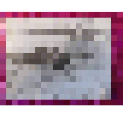 Фото. "  Камчатка 1954 г. " О.Д. Новокшонова на стрелковых соревнованиях