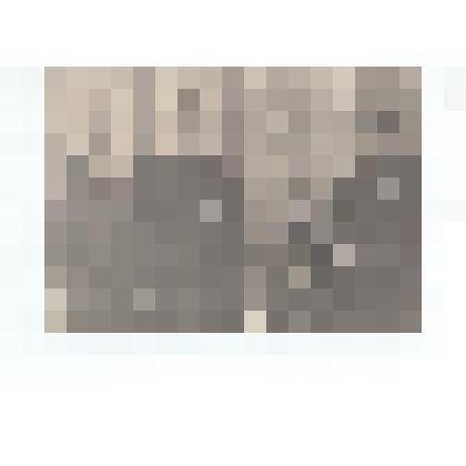 П.П. Ветчинкин с женой и дочерью. Фотография