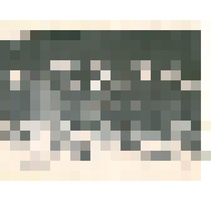 Фотография: хор работников просвещения на смотре художественной самодеятельности в г.Камне-на-Оби Алтайского края