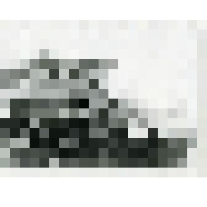 Фотография. Митинг -забастовка в селе Коломенском в поддержку председателя колхоза «Огородный гигант» Г.С. Собчука