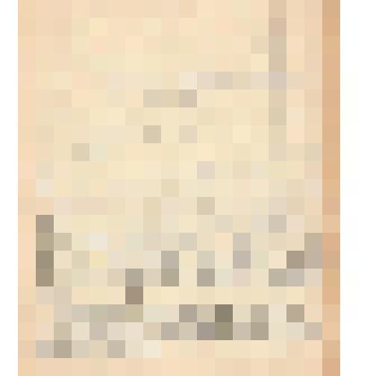 Документ. Письмо (черновик) Белопухова С. С., краеведа города Кинешмы Ивановской области, Пшеничной Г. Н., старшему редактору отдела краеведческой литературы Ивановского отделения Верхне-Волжского издательства, об отказе в издании путеводителя по городу К