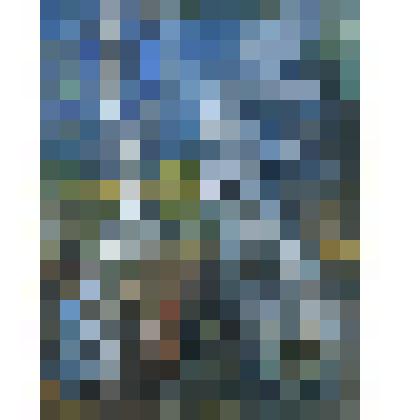 Картина "Почитание Курбэ"