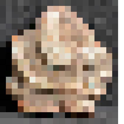 Изразец печной  рельефный полихромный. Фрагмент