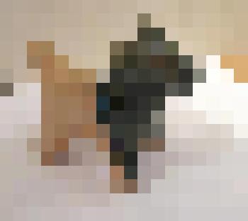 Свистулька "Баран"