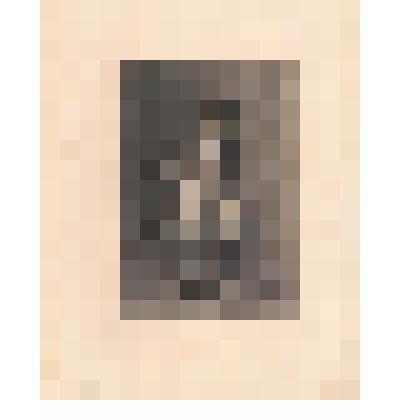 Ожидание аудиенции