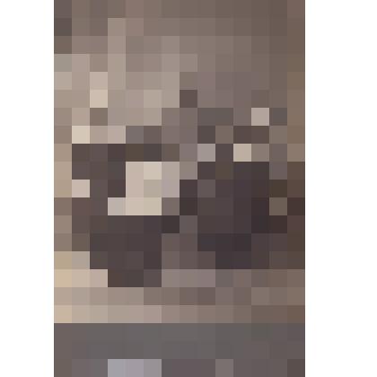 Фото Неизвестной семьи, сделанное в фотографическом ателье Зиминой, г.Кострома