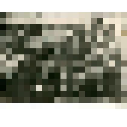 Фотография. Экспедиция инженера Владимира Евграфьевича Попова по изысканию Аяно-Нельканского тракта