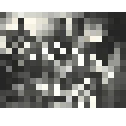 Фото "Победители социалистического соревнования  г. Ухты с писателем Л.Н. Смоленцевым в музее. "