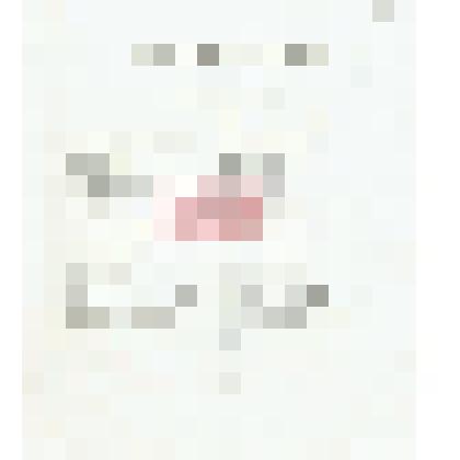 Прейскурант (?) на иностранном языке (французском и латинском), присланный Н. М. Мартьянову (насекомые)