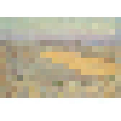 Донгуз. Картина