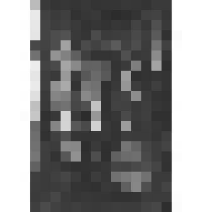 Фермерский дворец. Кабинет Александра II. Южная сторона восточной оконной амбразуры