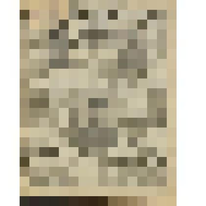 Газета. "Красный кавалерист" № 238