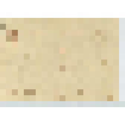 Карточка почтовая с репродукцией картины "Точильщик" художника А.И.Морозова