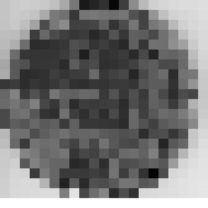 Медаль памятная "Почетному Гражданину. Зеленоград". Опытный образец