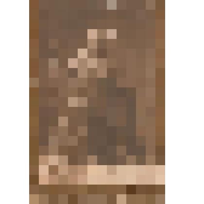 Остроухов Н.И. - участник художественно-драматического кружка города Козлова