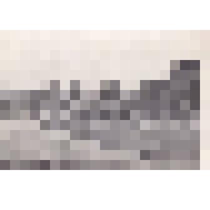 Фотография. Фотография черно-белая. «Дрезденская картинная галерея после бомбежки 25.02.45 г. союзниками». Коллекции фотографий времен ВОВ и второй половины XX в