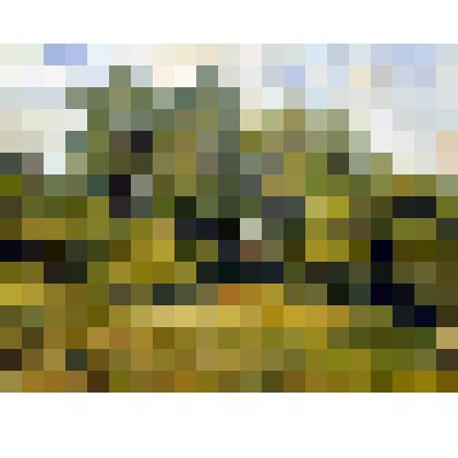 Картина. Полянка