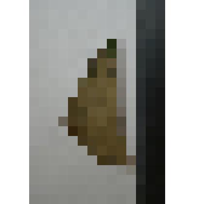 Сосуд. Фрагмент