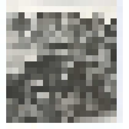 Фотография. Сбор на линейку в пионерском лагере им. "Дубинина"