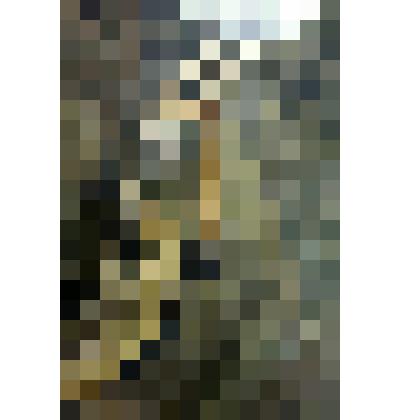 Этюд "На разрезе"