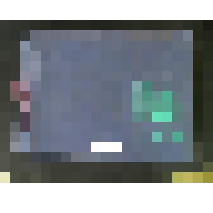 Летопись санаторно – лесной школы. 1984 г