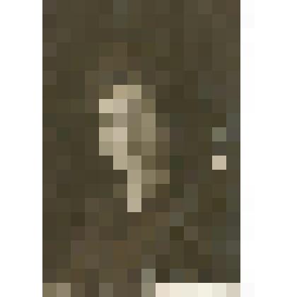 Фотография черно-белая. Портрет молодой женщины