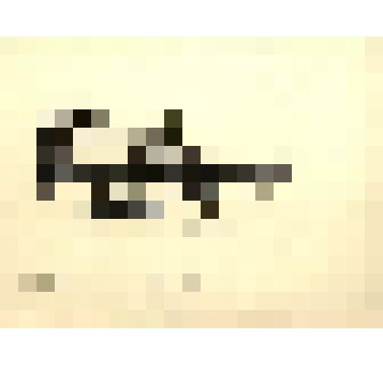 Академия Наук зимой. 1912