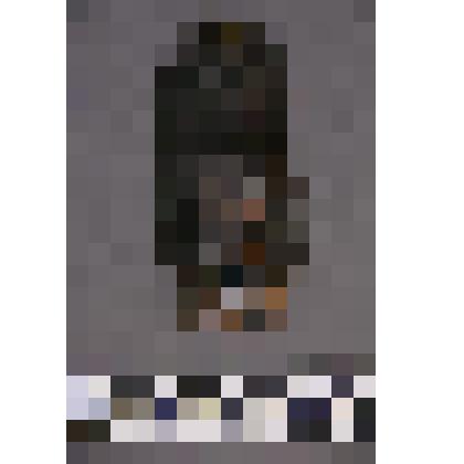 коллекция В.Ф. Лагодича. Талисман на металлической пластине, по мотивам изваяний окуневской культуры. Подпрямоугольная пластина с изображением 3-хглазой личины, прорезанными глазами, ртом и носом. В короне в виде рогов. Разделена на 3 части горизонтальным