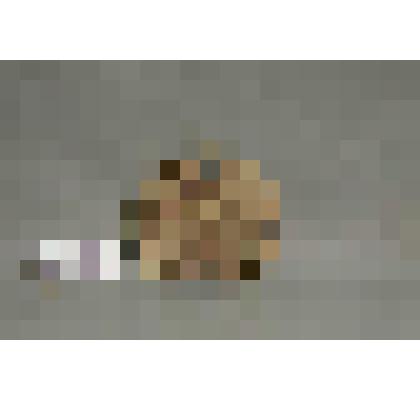 Цветок (деталь резьбы)