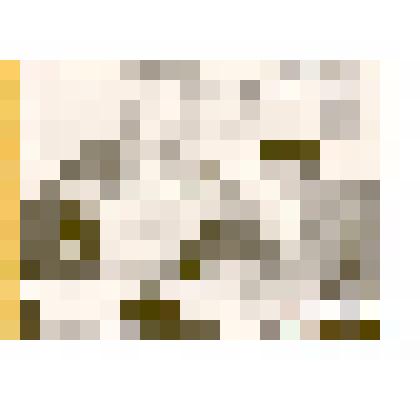 Фотография. Подписка с рабочими хлебоприемного пункта на 1966 год