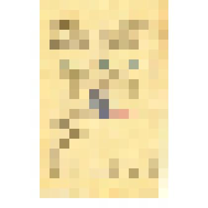 Благодарность младшего сержанта Филиппова Василия Зиновьевича за отличные боевые действия при прорыве обороны немцев восточнее города Штаргард с выходом на побережье Балтийского моря в районе города Кольберг