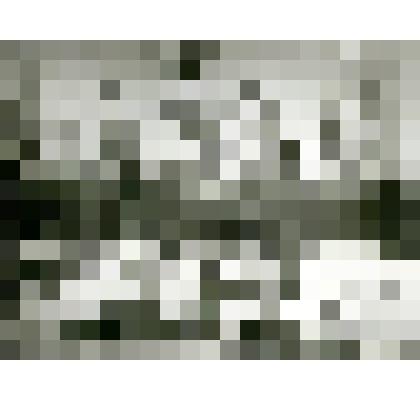 Фотография. Оставленные в тайге нарты