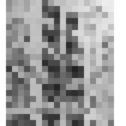 Фотография. Восьмидесятиквартирный жилой дом улучшенной планировки по ул. Мамина-Сибиряка в Свердловске / Автор повторного применения: Грачев Ю.Я. / Фото с натуры, фрагмент фасада