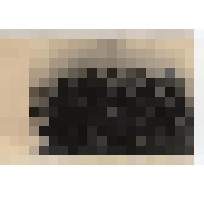 Фотография. Группа советских солдат в Австрии