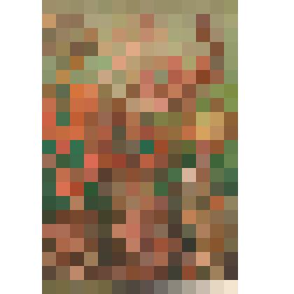 Иллюстрация. Таблица № 96. Выпуск "19-20".
 Из комплекта таблиц "Красота форм в природе"