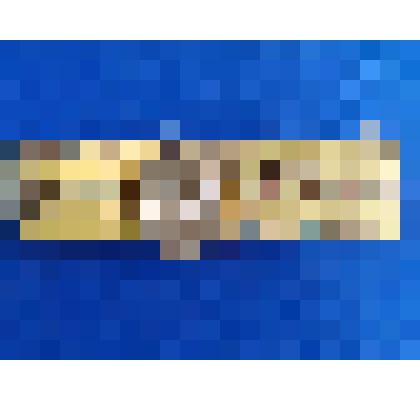 Пояс офицерский