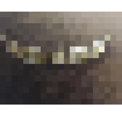 Пряжка поясная