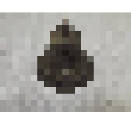 Колокольчик поддужный