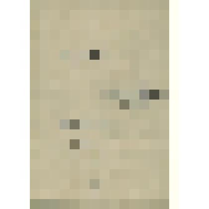 Документы периода становления Сольвычегодского музея