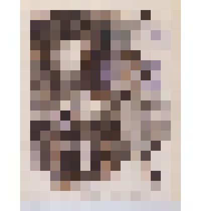 Гравюра. Международный мастер по шахматам Герман Ван Римсдейк