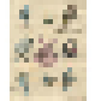 модная картинка. Тюрбан, атласная и бархатная шляпки, кружевной чепец, бархатный шитый золотом кошелек, детский фартук и корзинка, отделанная жемчугом. Модная картинка № 130 из журнала "Le Voleur", март 1835 г