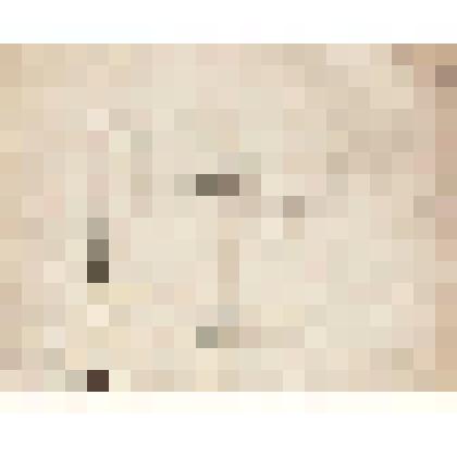 Телеграмма № 1534 в г. Чердынь В. Н.Алину от Девяткова из г. Сарапула, 24.10.1896 г