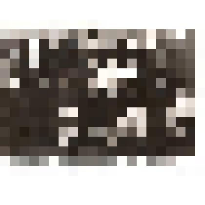 Фотография. Областной слет выпускников средних школ, работающих в сельскохозяйственном производстве. Г. Саратов