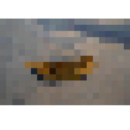 Фрагмент кости передней конечности динозавра