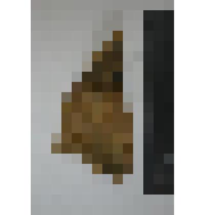 Сосуд. Фрагмент