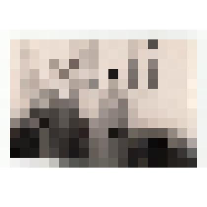 Фото/чб. Костин Иван Степанович (справа), директор Энгельсской опытно-мелиоративной станции (ВОЛЖНИИГИМ) с коллегой. Энгельс. 1960-е