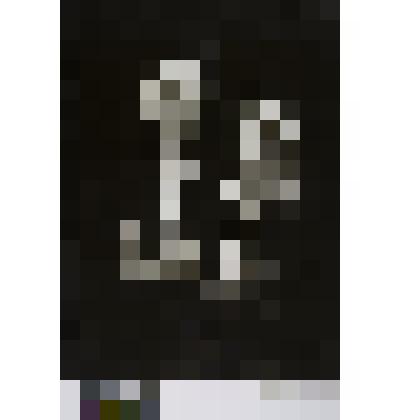 К.Сокольский и Изабелла Юрьева