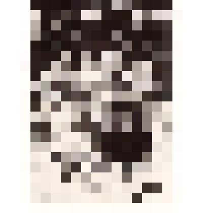 Фотография. Золин Георгий Ефимович, 1904 года рождения, уроженец с. Обшаровка Безенчукского района Оренбургской области, партийный работник