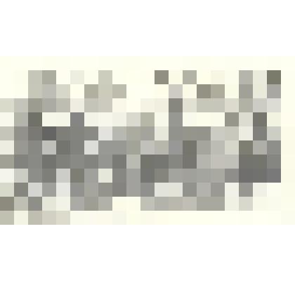 Заставка к произведению «Панорама Москвы». Из серии иллюстраций к сборнику М.Ю.Лермонтова «Избранные произведения».1955г